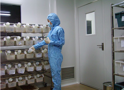 動物實驗室設(shè)備規(guī)范操作流程