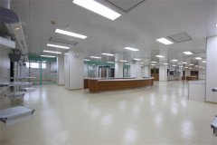 無塵凈化室管理規(guī)范制度(整理版)